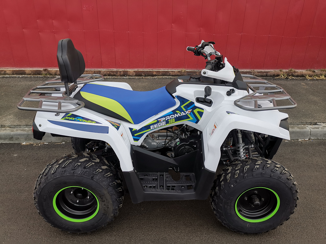 Квадроцикл PROMAX RENEGADE 280 LUX (2025) в Элисте