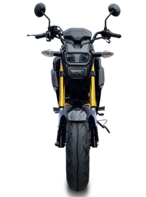 Мотоцикл PROMAX STRYKER 200(49) в Элисте