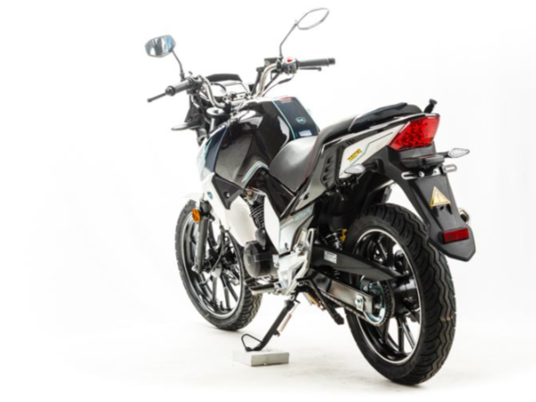 Мотоцикл MOTOLAND (МОТОЛЕНД) FIGHTER 250 в Элисте