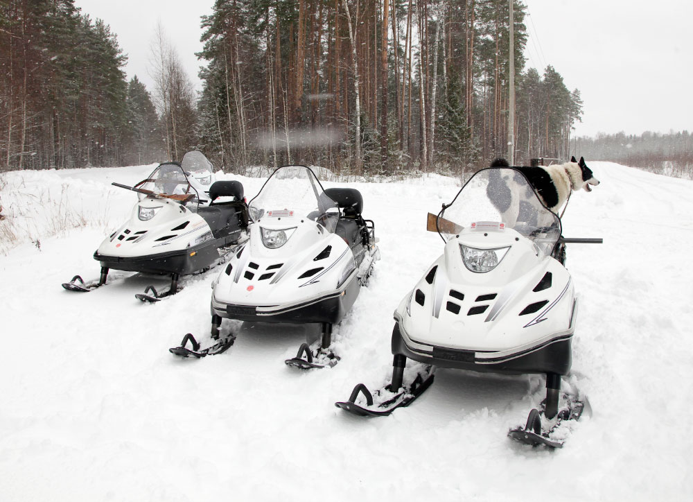 СНЕГОХОД РМ ТАЙГА ВАРЯГ 550 V в Элисте