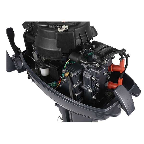 ЛОДОЧНЫЙ МОТОР ALLFA CG Т9,9 Limit в Элисте