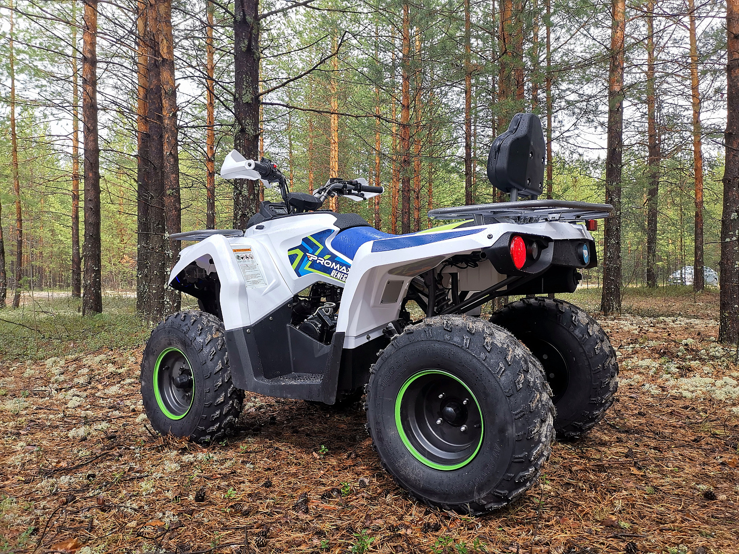 Квадроцикл PROMAX RENEGADE 280 (2025) в Элисте