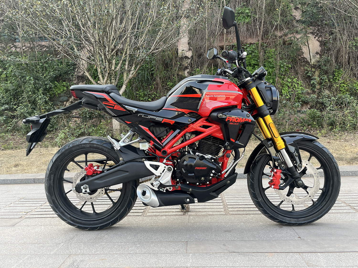 Мотоцикл PROMAX CB300 в Элисте