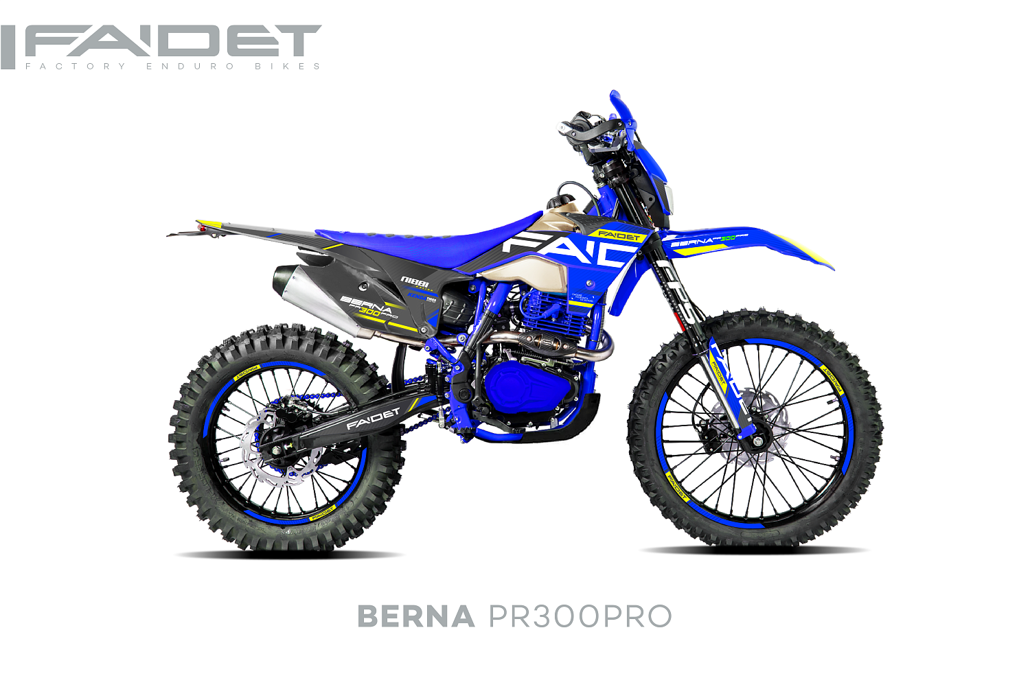 Кроссовый мотоцикл FAIDET BERNA PR300-PRO FPS в Элисте