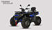 Квадроцикл PROMAX TAURUS 300 MAX-PRO LONG в Элисте