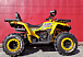 Квадроцикл PROMAX STORM 280 LUX в Элисте