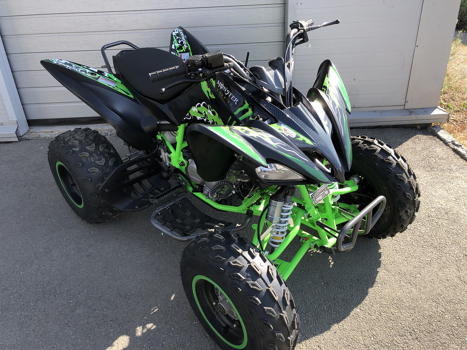 Квадроцикл PROMAX RAPTOR 300 NEW Monster в Элисте