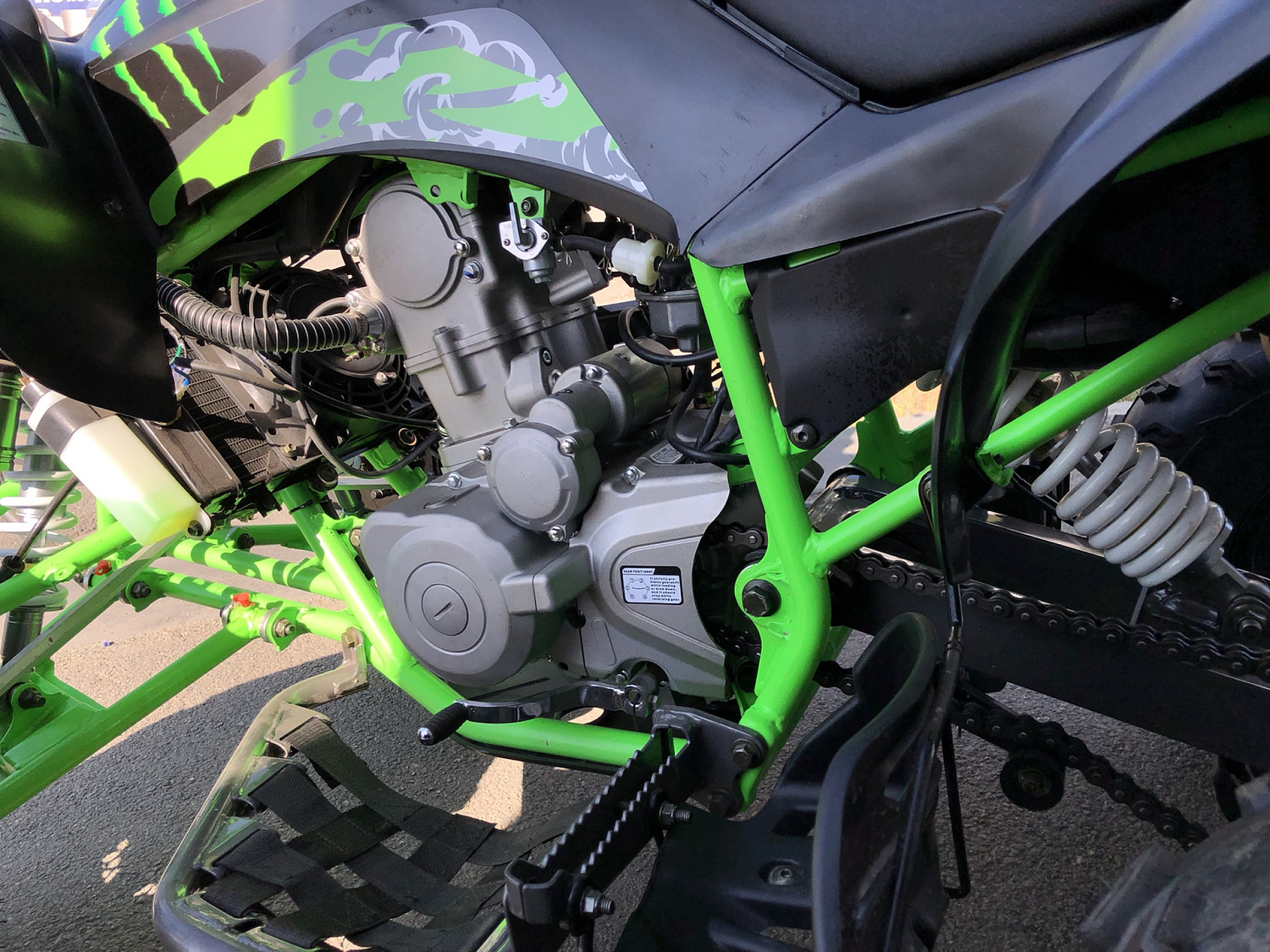 Квадроцикл PROMAX RAPTOR 300 NEW Monster в Элисте