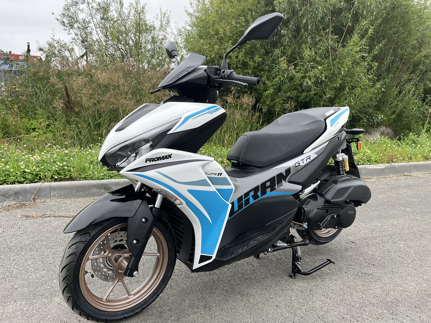 Скутер PROMAX TURAN 250 (49) в Элисте