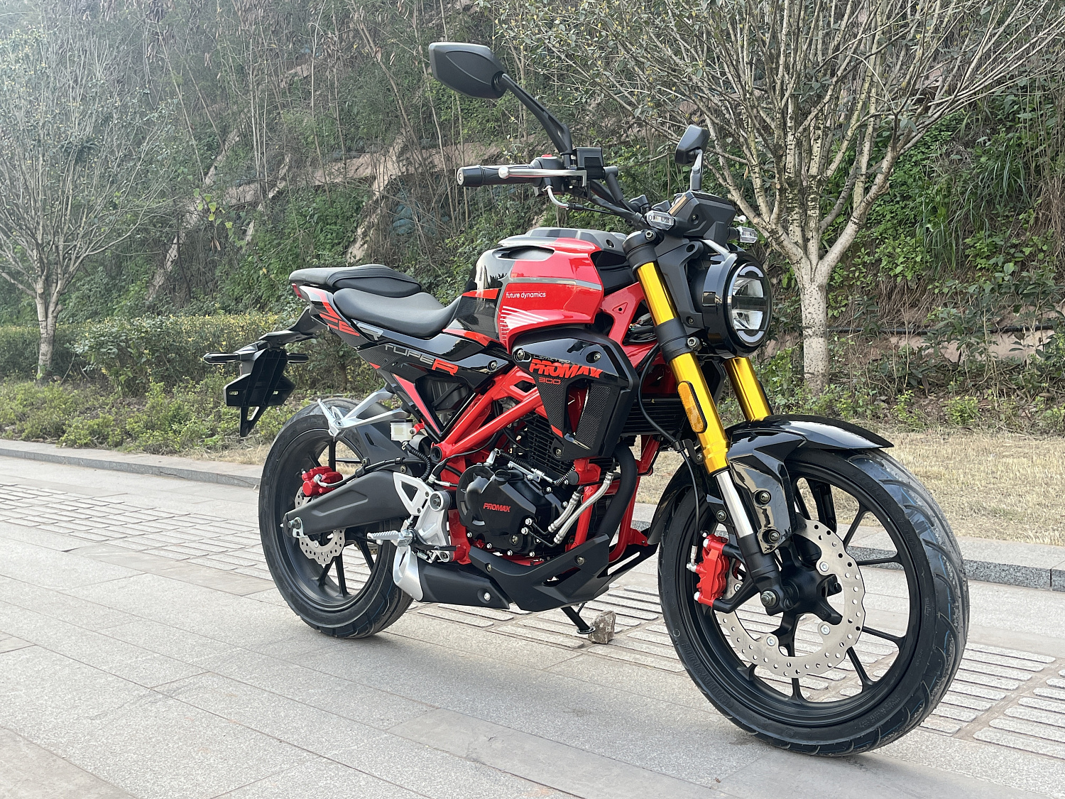 Мотоцикл PROMAX CB300 в Элисте