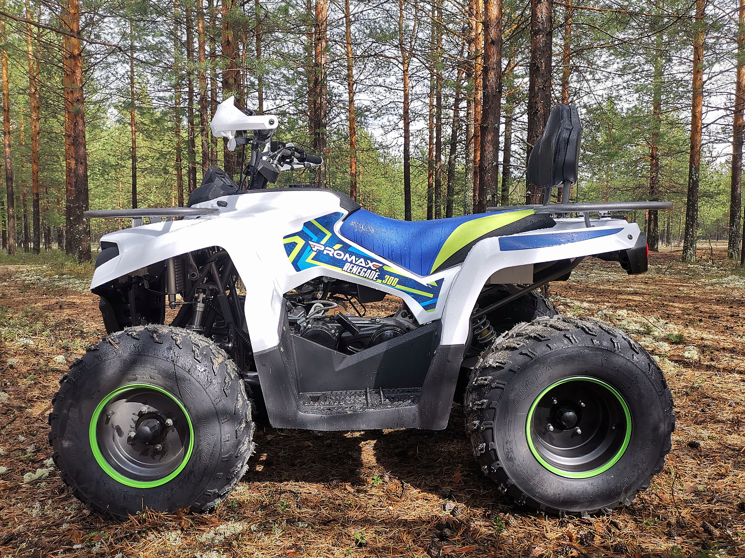 Квадроцикл PROMAX RENEGADE 280 (2025) в Элисте