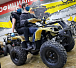 Квадроцикл PROMAX ATV 250 (2025) в Элисте