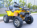 Квадроцикл MOTOLAND (МОТОЛЕНД) VOX200 WILD TRACK X PRO (баланс. вал) в Элисте