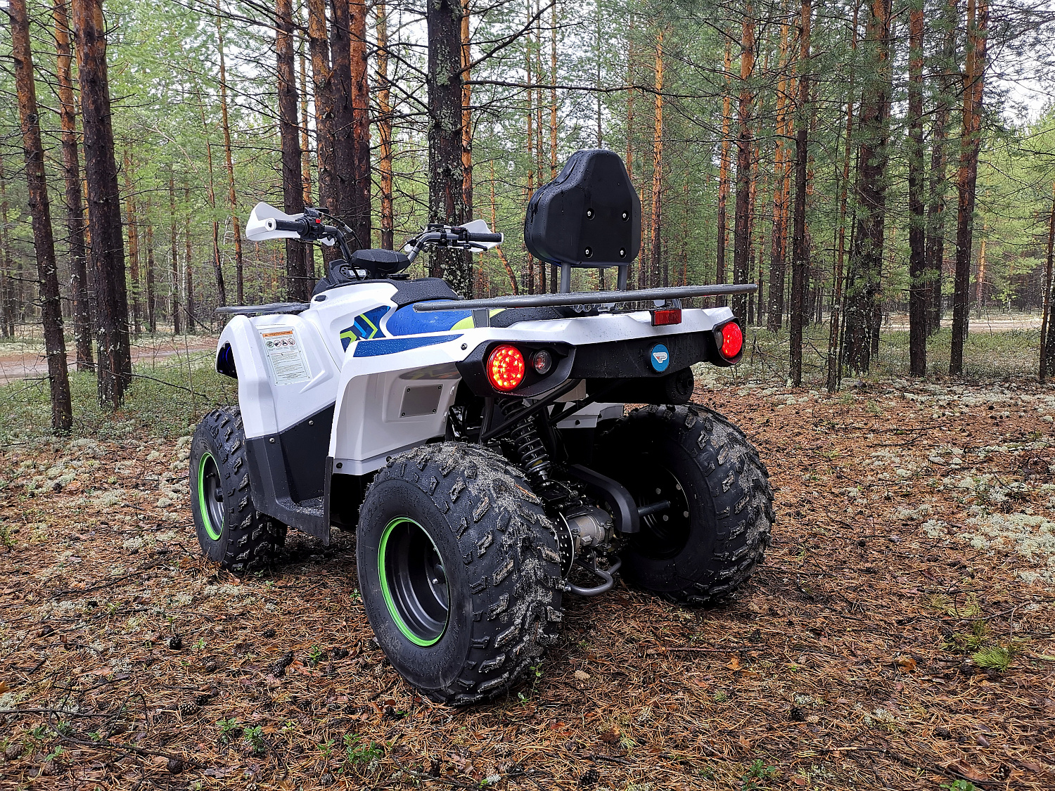 Квадроцикл PROMAX RENEGADE 280 (2025) в Элисте
