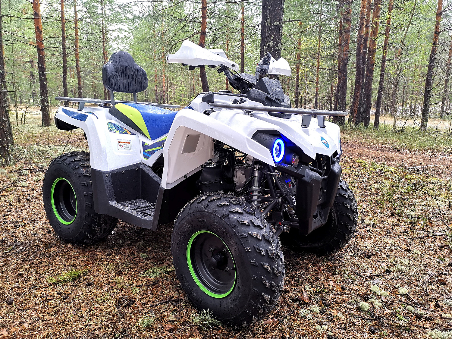 Квадроцикл PROMAX RENEGADE 280 (2025) в Элисте