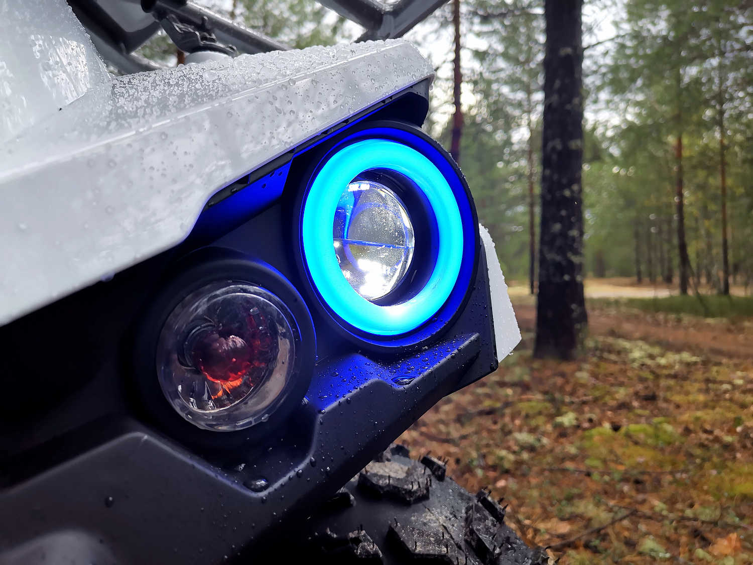 Квадроцикл PROMAX RENEGADE 280 (2025) в Элисте