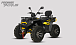 Квадроцикл PROMAX TAURUS 300 MAX-PRO LONG в Элисте